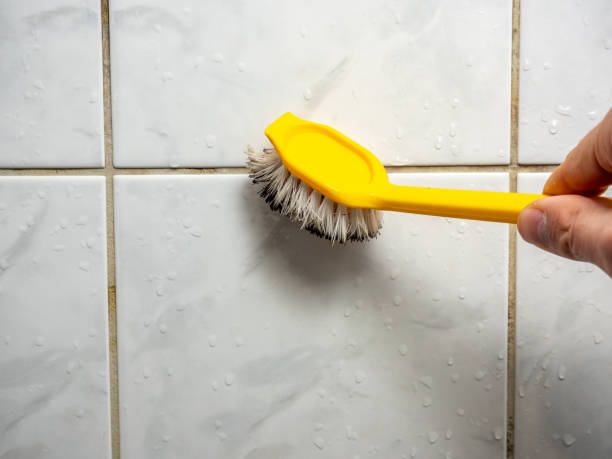 Best Affordable Mold Removal  in Fox Lake Hls, IL