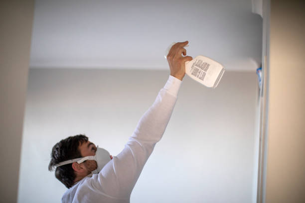 Best Emergency Mold Removal  in Fox Lake Hls, IL